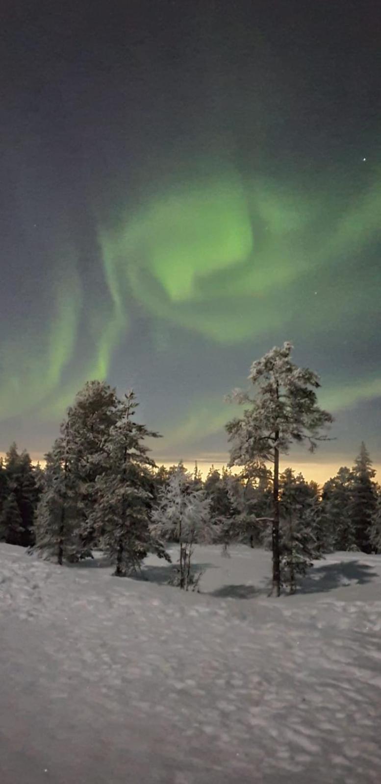 Cozy Arctic Heart Lägenhet Rovaniemi Exteriör bild