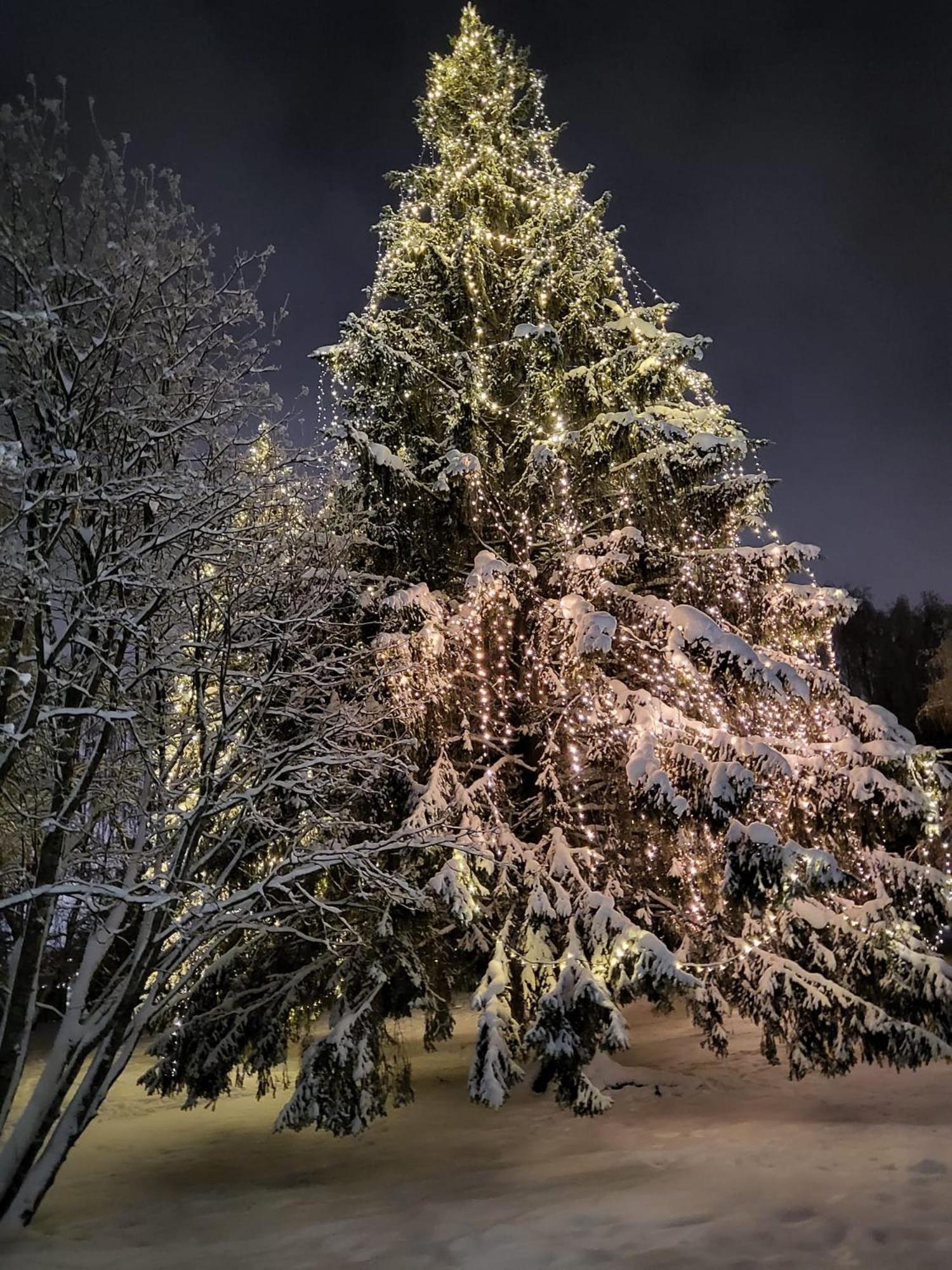 Cozy Arctic Heart Lägenhet Rovaniemi Exteriör bild